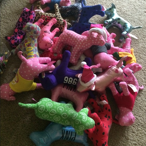 Victoria's Secret bundle of dogs! 💖