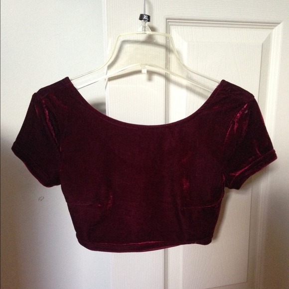 Tobi velvet crop top