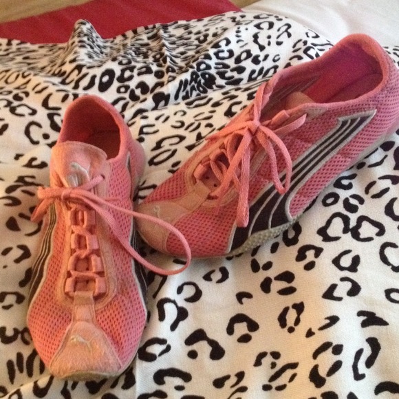 Pink Pumas