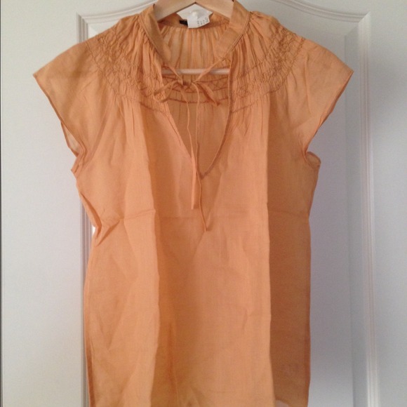 Theory sheer orange blouse