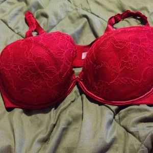 Cacique Plunge Bra