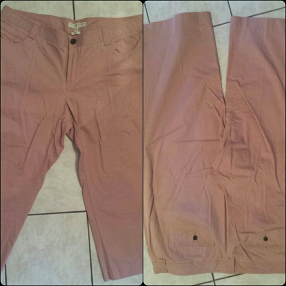 Plus Size Pink Hipster Capris