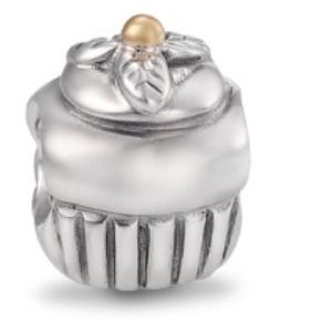 Pandora charm