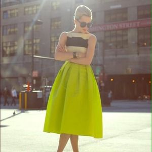 Lime green poodle skirt