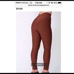 American apparel ridding pants