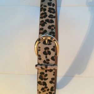 RLL Belt