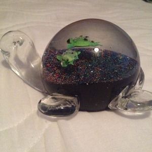 Glass Turtle decor