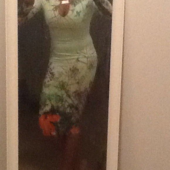 Green Paradise Dress - Picture 3 of 4