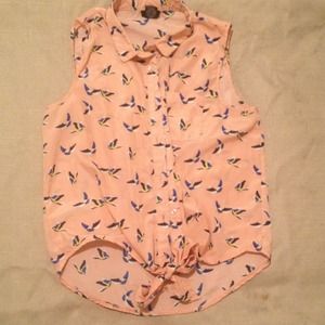 Blouse- flying birds