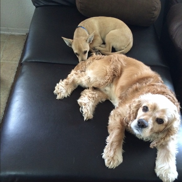 My baby boys "coffee and baileys"
