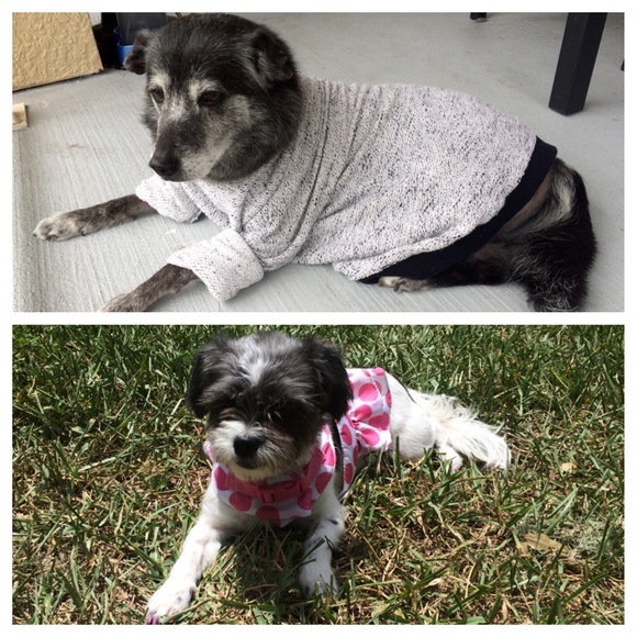 KNOW YOUR SELLER/BUYER!💕 TOP RATED- FAST SHIPPER! - Picture 3 of 4