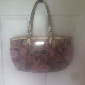 🚨LIMITED TIME SALE🚨Authentic Coach purse