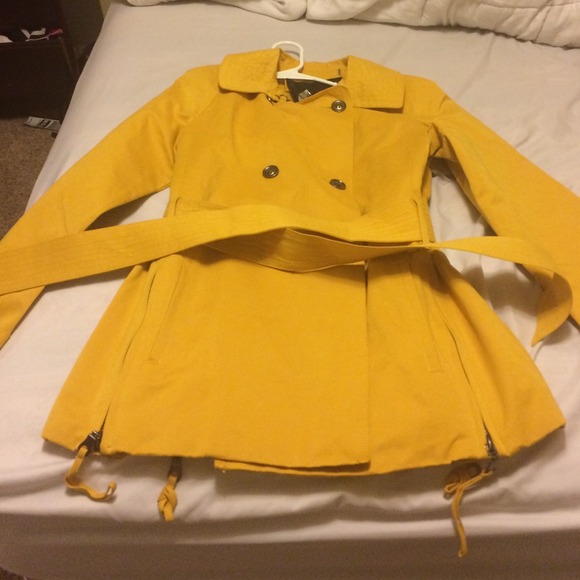 Yellow jacket