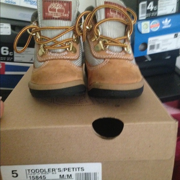 Timberland's Toddler Boys