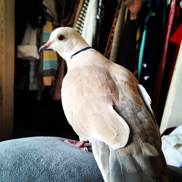 MEET ME :) the buyer/seller - Picture 2 of 4