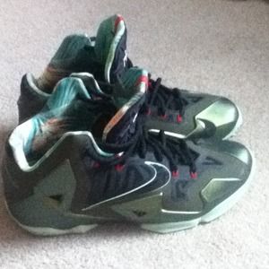 Lebron 11 kings pride
