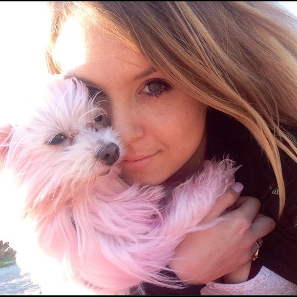 Meet the best poshing dog out there!🌸🌸 - Picture 2 of 3