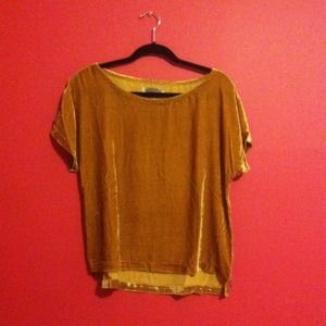 Gold Velvet Top