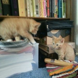 My lil buddies :)