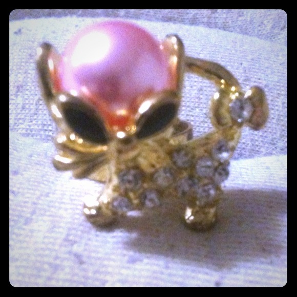 Cat Statement ring🎀