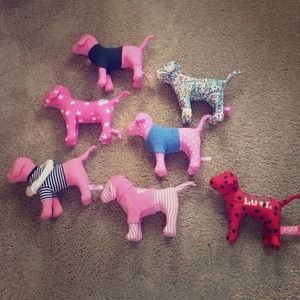VS Pink dogs