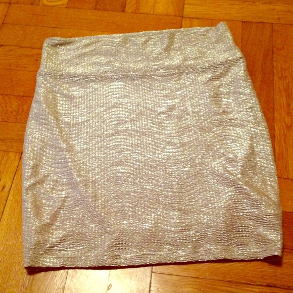 Silver and Gold Metallic Textured Skirt