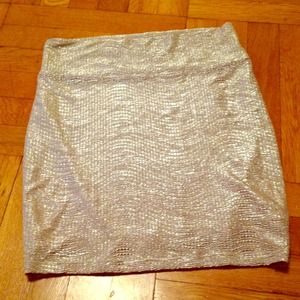 Silver and Gold Metallic Textured Skirt