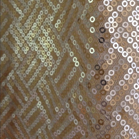 ✨ NWT BR sequined top - Picture 2 of 4