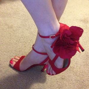 ❤️Red Rose Hill❤️