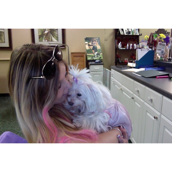 Your posher and part of the animal lover community - Picture 1 of 1