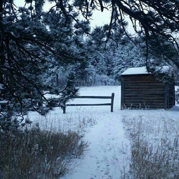 ☆☆☆☆MEET YOUR SELLER☆☆☆☆ - Picture 4 of 4