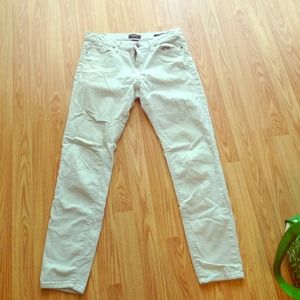 BDG ankle pants