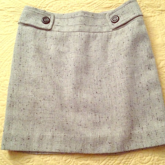 Skirt (The Limited)