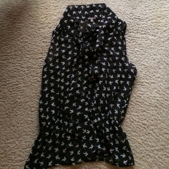 Sleeveless dressy shirt