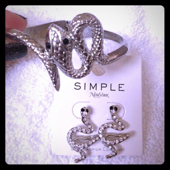 Silver Snake Bracelet and Earrings Set