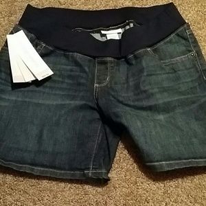 Liz Lange Maternity Denim Shorts