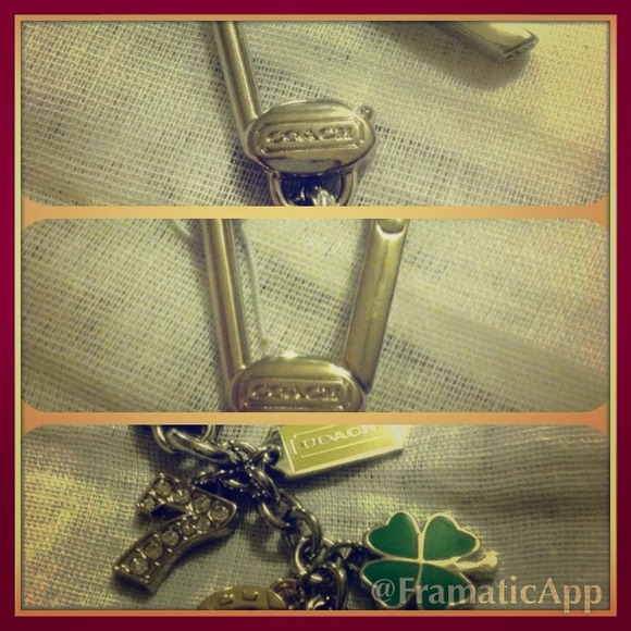 Coach 67915 Lucky Mix Key Purse Fob New