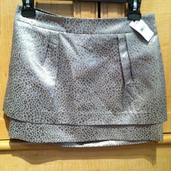 Gray/silver shiny skirt.