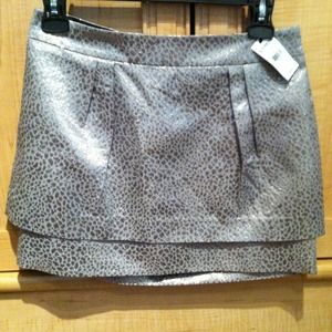 Gray/silver shiny skirt.