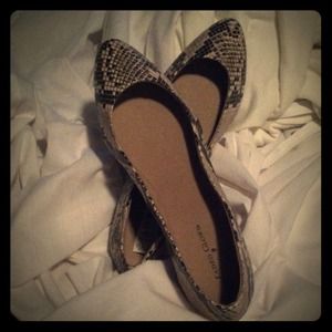 Ladies Shoes, Flats with a snake skin design