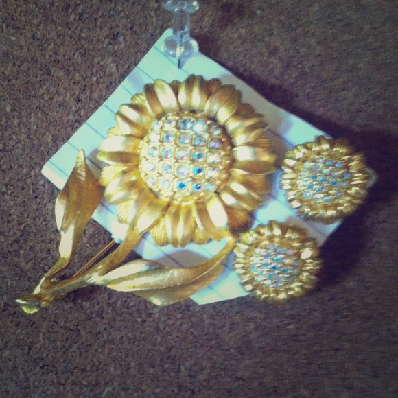 Brooch and Earrings (pierced)