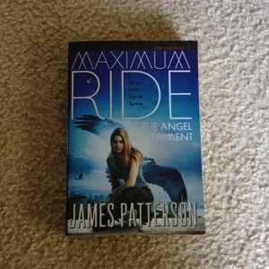 Maximum ride the angel experiment
