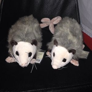 Webkinz opossum🐾