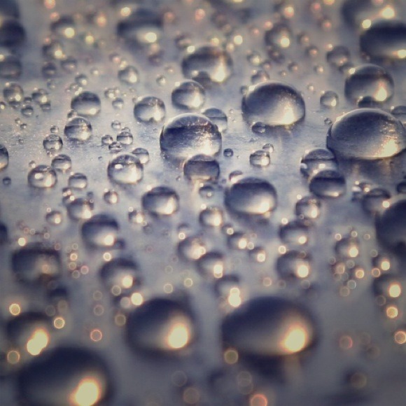 TRADE with @lakoda22