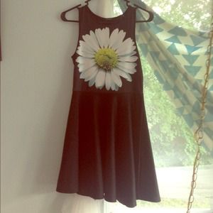 Daisy Skater Dress