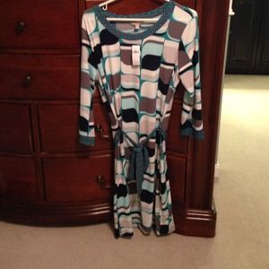 NWT L Banana Republic dress