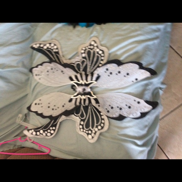 Pixie wings
