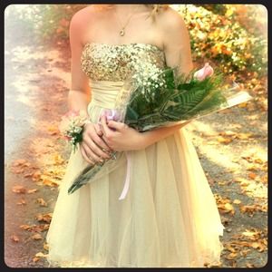 Gold Princess Sequin Dress with Tulle Skirt