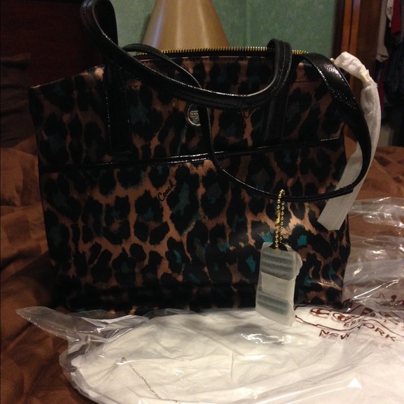 Coach Handbags - NWT Coach purse. Beautiful bag, never carried.