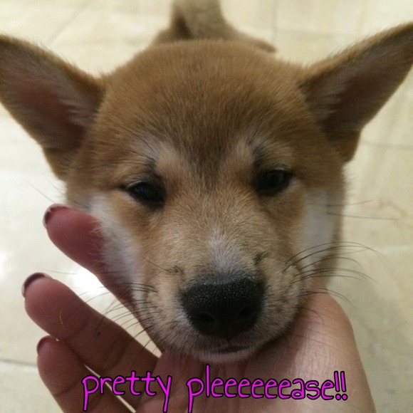 POST PARTY 15% OFF Sale - Picture 2 of 4